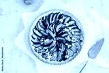 preview cold