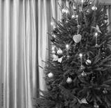 preview bw