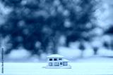 preview cold