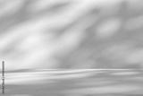 preview bw