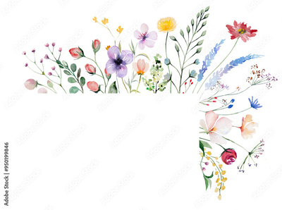 image to crop
