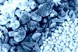 preview cold