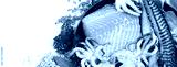 preview cold