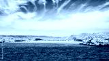 preview cold