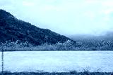 preview cold