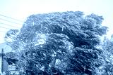 preview cold