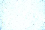 preview cold