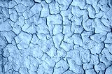 preview cold