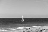 preview bw