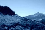 preview cold