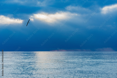 image to crop