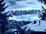 preview cold