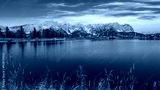 preview cold