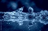 preview cold
