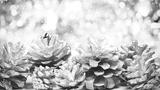 preview bw