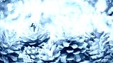 preview cold
