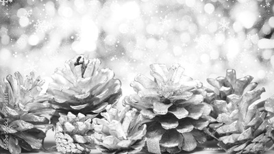 image to crop