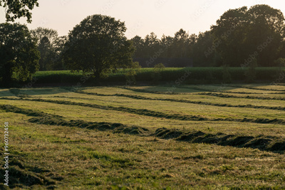 image to crop