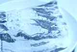 preview cold