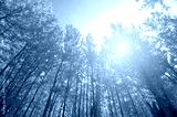 preview cold