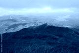 preview cold