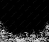 preview bw