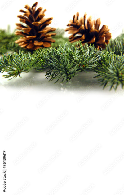 image to crop