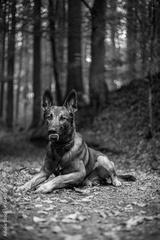 preview bw