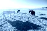 preview cold