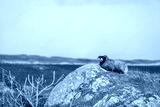 preview cold