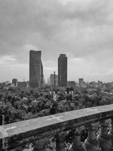 preview bw