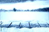 preview cold