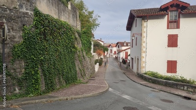 image to crop