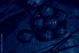 preview cold