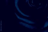 preview cold