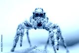 preview cold