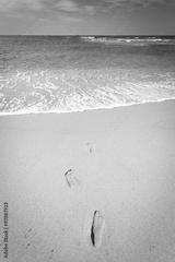 preview bw