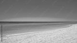 preview bw