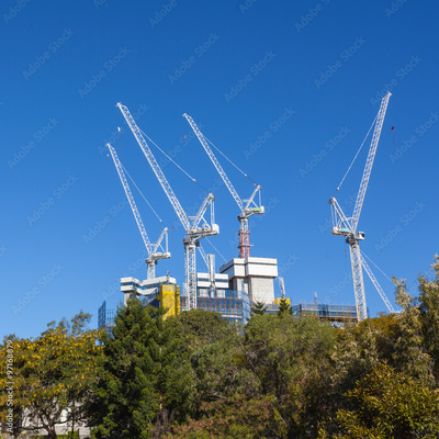 image to crop