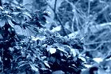 preview cold