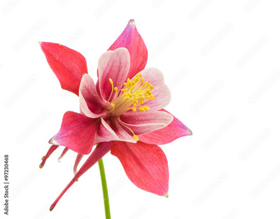 image to crop