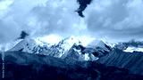 preview cold