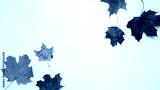 preview cold