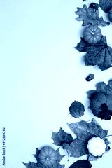 preview cold