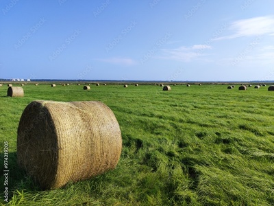 image to crop