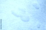 preview cold