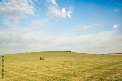 image to crop