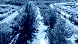 preview cold