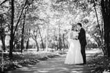preview bw