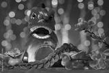 preview bw